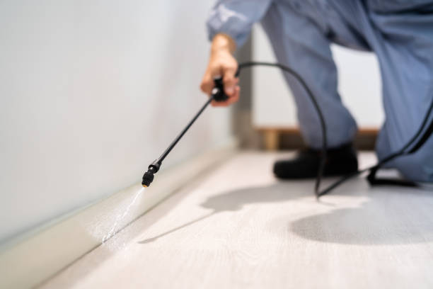 Licensed Termite Control service in Middletown, MD - Nex Pest Control