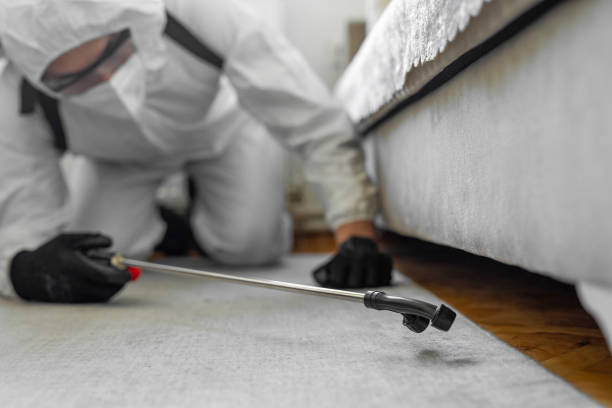 Professional Termite Control technician working in Middletown, MD
