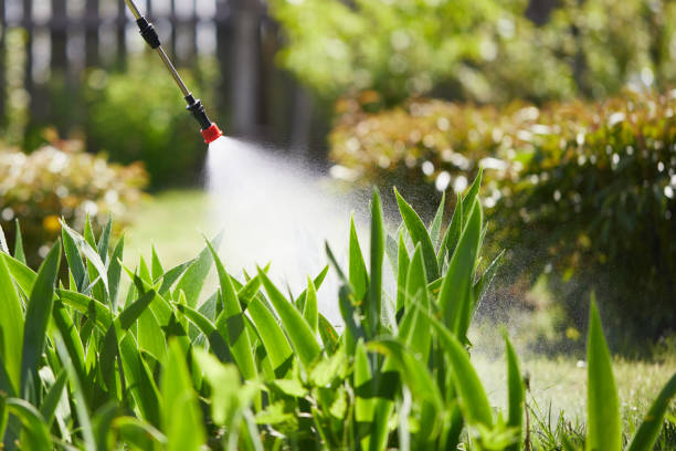 24/7 Emergency Termite Control experts in Middletown, MD
