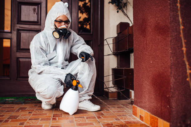 Reliable Termite Control contractor in Middletown, MD by Nex Pest Control